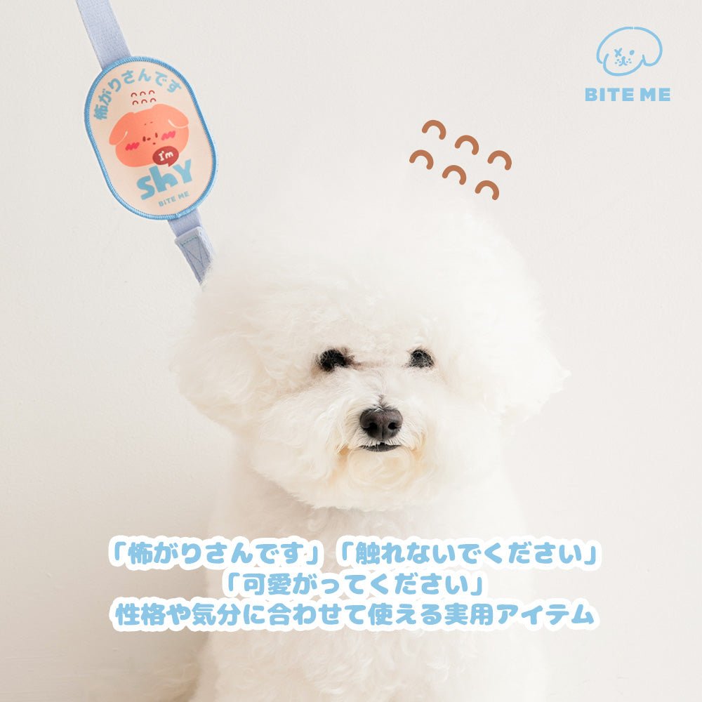 【新商品/日本限定発売】BITE ME お散歩メッセージワッペン - Pacific & My Pooch