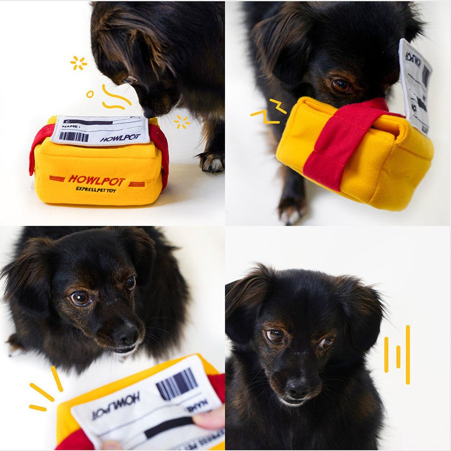 「おやつのお届けです!」Express Pet Toy 楽しい時間もお届けします - Pacific & My Pooch