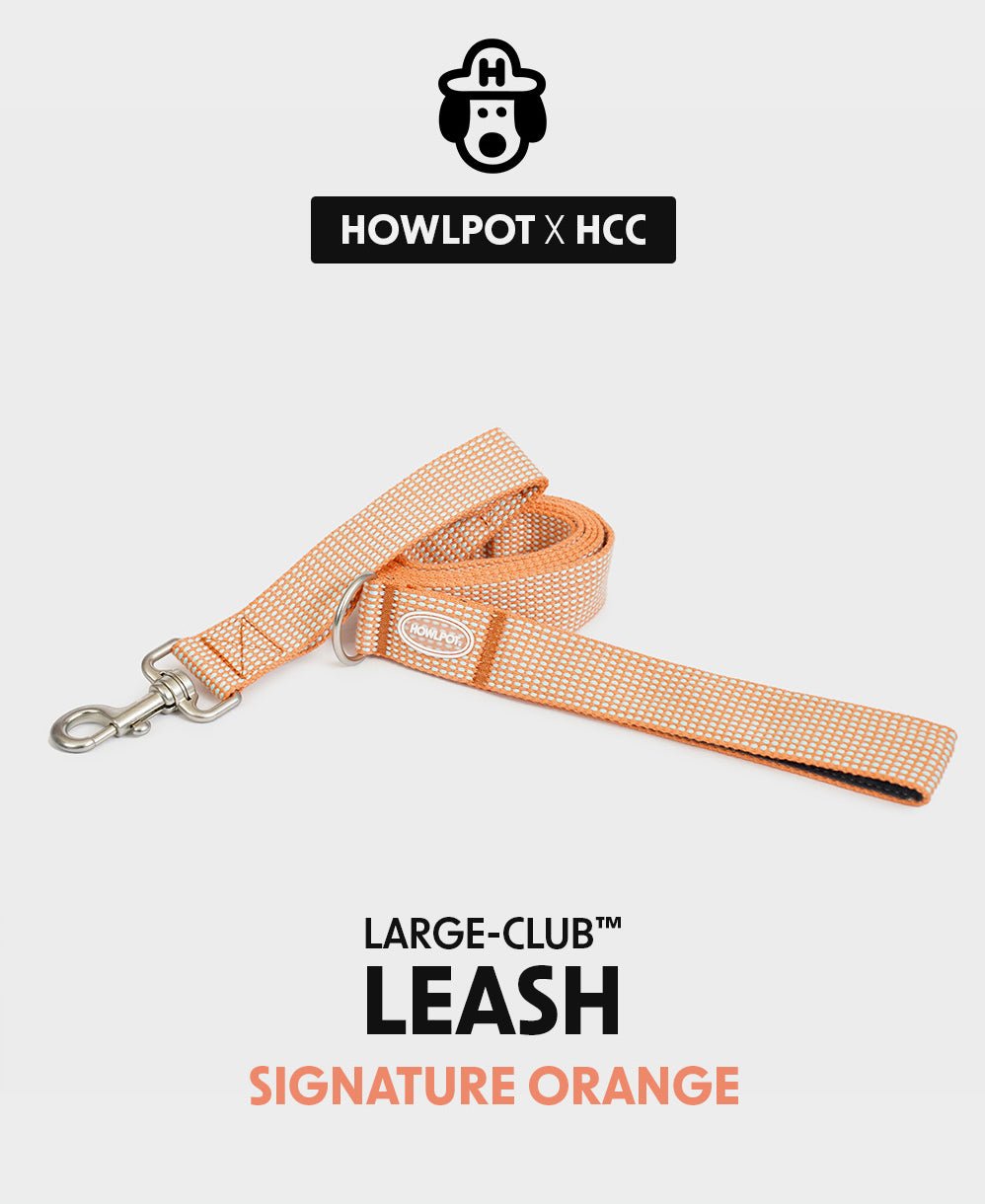 中・大型犬用リーシュ HCC Large Club Leash お散歩を安心で楽しく - Pacific & My Pooch