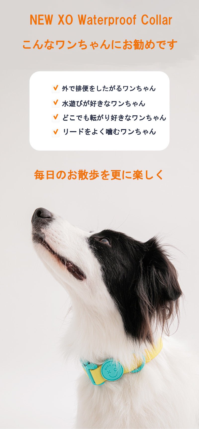 防水・防汚カラー NEW XO Waterproof Collar 雨の日・アウトドアに - Pacific & My Pooch