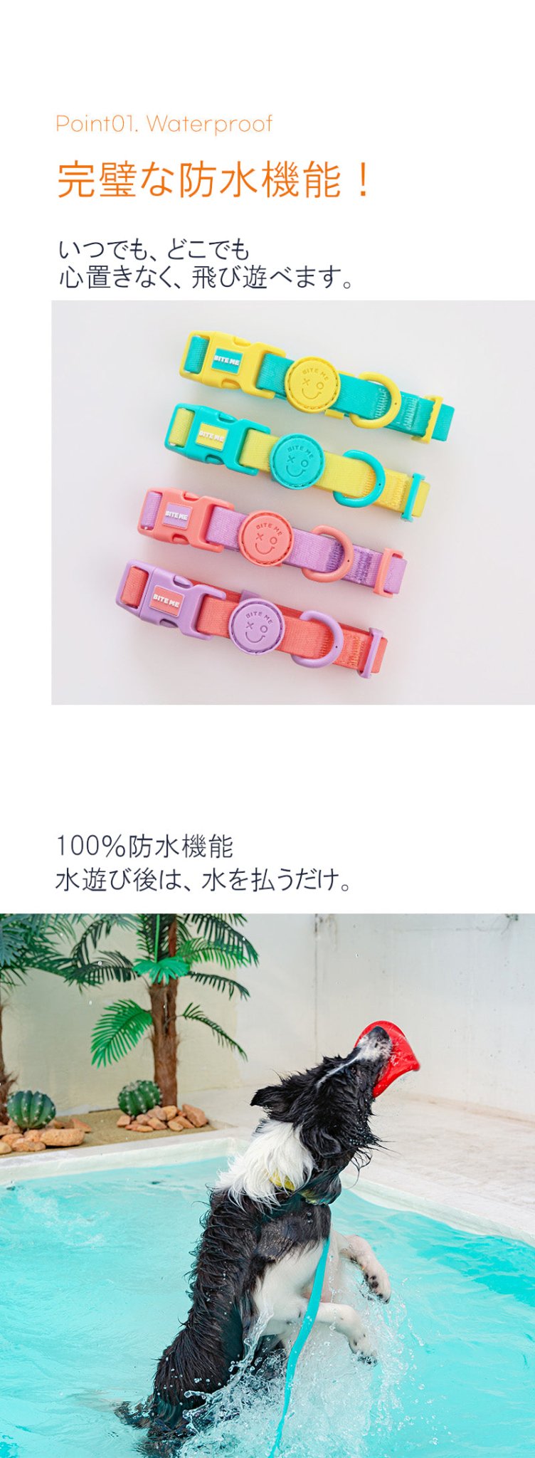 防水・防汚カラー NEW XO Waterproof Collar 雨の日・アウトドアに - Pacific & My Pooch