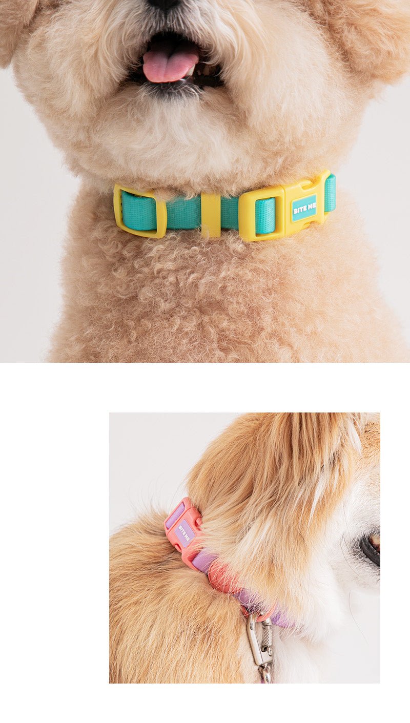 防水・防汚カラー NEW XO Waterproof Collar 雨の日・アウトドアに - Pacific & My Pooch