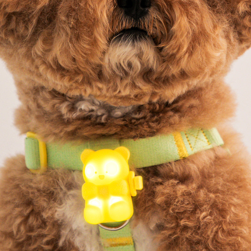 ジェリーベア Jelly Bear  充電式 LED ライト Blinker ペット散歩用