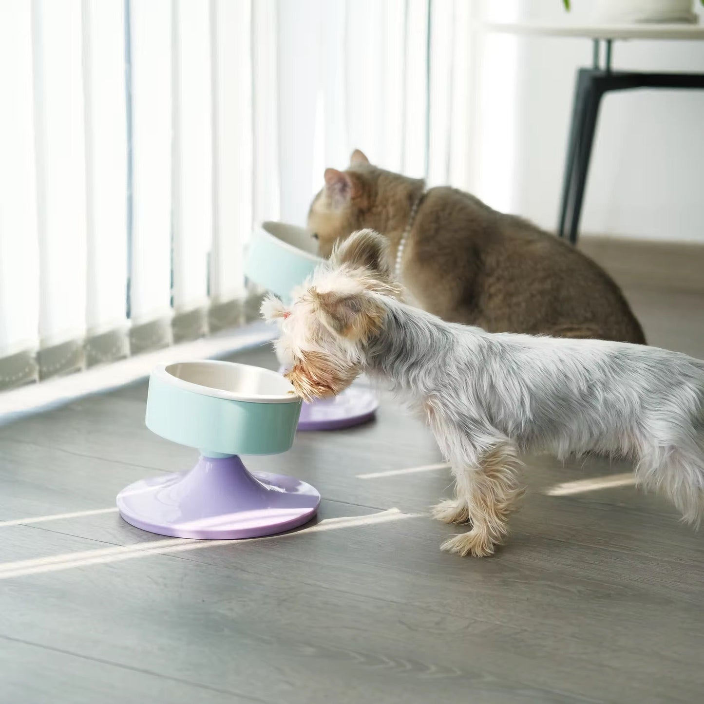 【AdjustaBowl】猫・小型犬用 調整可能なハイネックペットフードボウル - Pacific & My Pooch