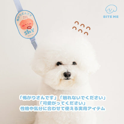 【新商品/日本限定発売】BITE ME お散歩メッセージワッペン - Pacific & My Pooch