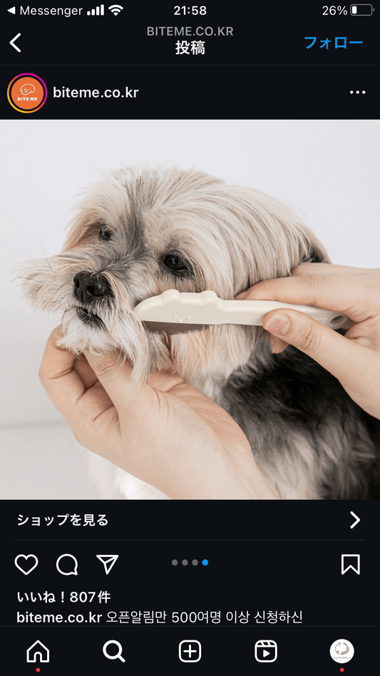 ワンちゃん顔周りのお手入れに　Biteme jellybear round face comb - Pacific & My Pooch