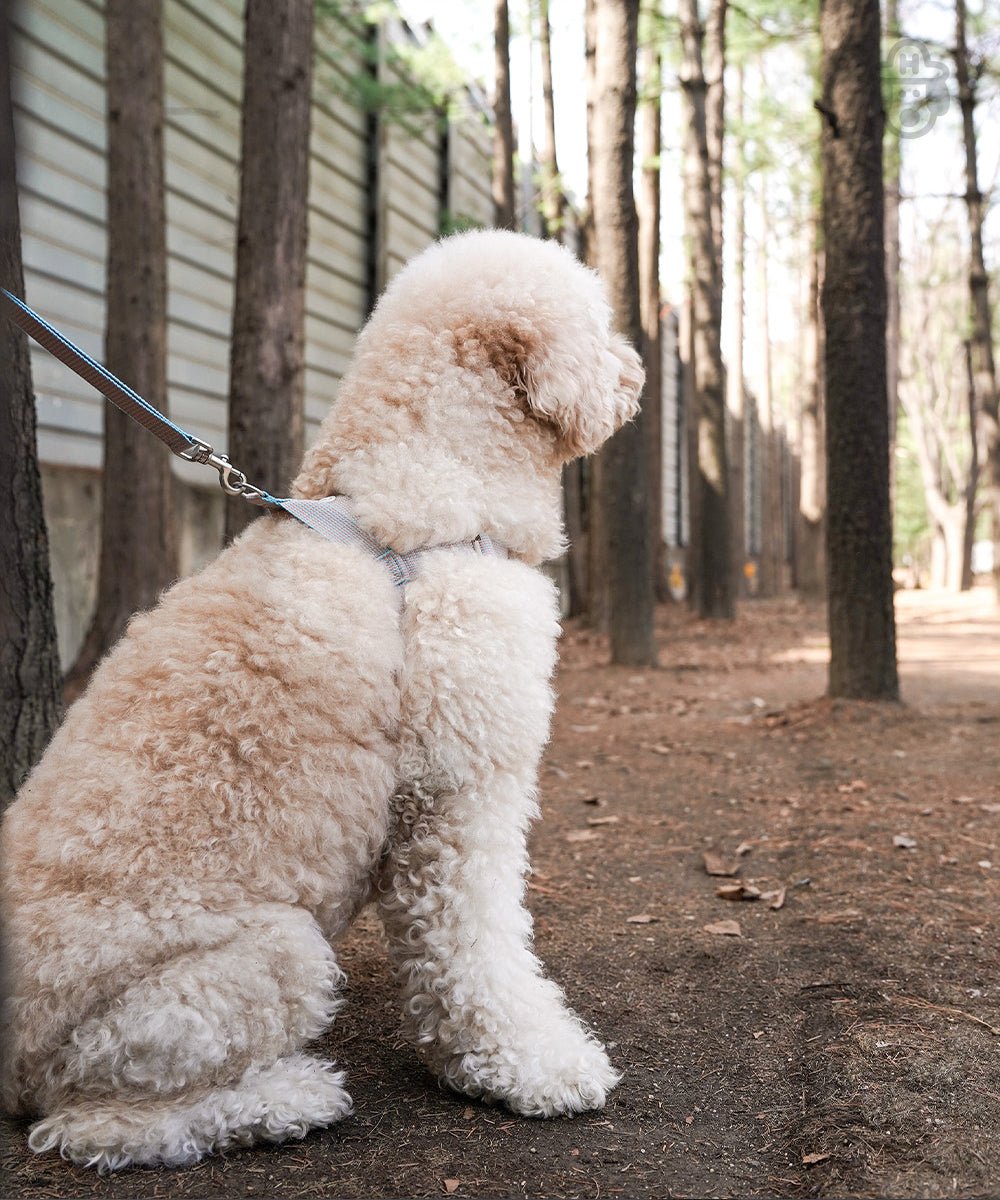 中・大型犬用ハーネス HCC Large Club Harness - Pacific & My Pooch