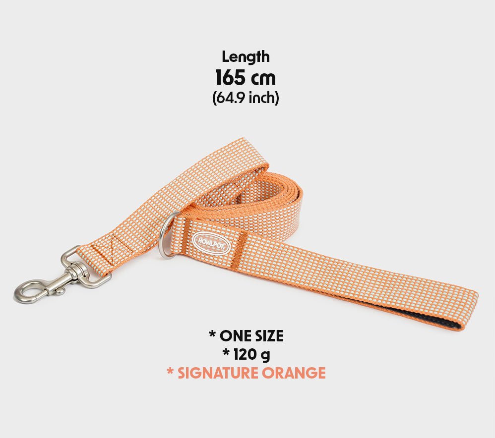 中・大型犬用リーシュ　HCC Large Club Leash　お散歩を安心で楽しく - Pacific & My Pooch