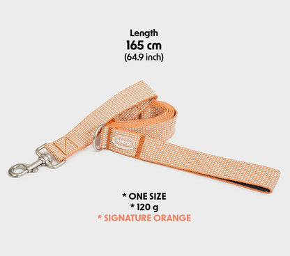 中・大型犬用リーシュ　HCC Large Club Leash　お散歩を安心で楽しく - Pacific & My Pooch