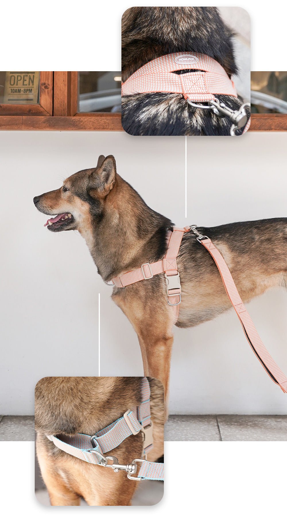 中・大型犬用リーシュ　HCC Large Club Leash　お散歩を安心で楽しく - Pacific & My Pooch