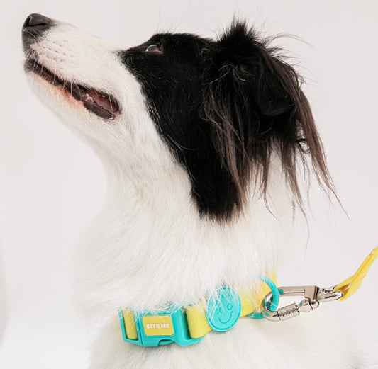 防水・防汚カラー NEW XO Waterproof Collar 雨の日・アウトドアに - Pacific & My Pooch