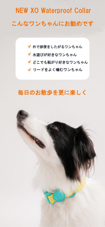 防水・防汚カラー NEW XO Waterproof Collar 雨の日・アウトドアに - Pacific & My Pooch