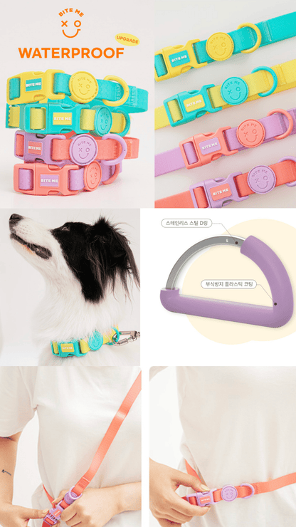 防水・防汚カラー NEW XO Waterproof Collar 雨の日・アウトドアに - Pacific & My Pooch