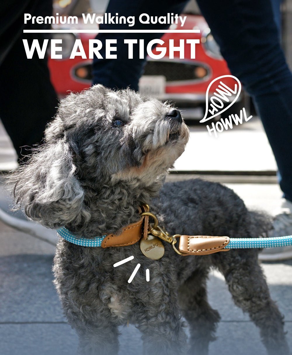 プレミアムなお散歩時間を・WE ARE TIGHT (Collar) - Pacific & My Pooch