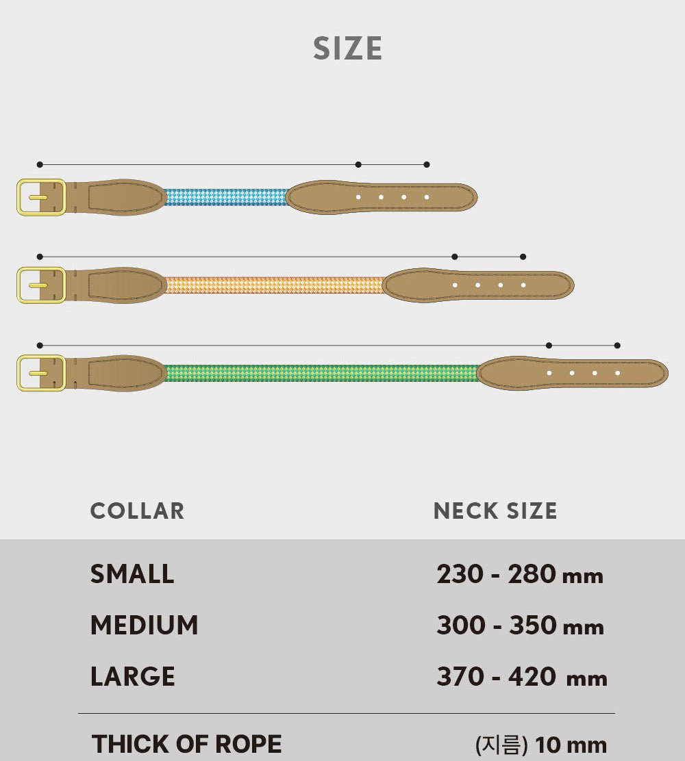 プレミアムなお散歩時間を・WE ARE TIGHT (Collar) - Pacific & My Pooch