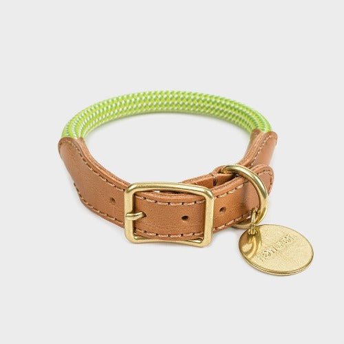 プレミアムなお散歩時間を・WE ARE TIGHT (Collar) - Pacific & My Pooch