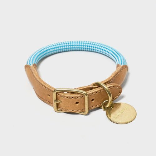 プレミアムなお散歩時間を・WE ARE TIGHT (Collar) - Pacific & My Pooch