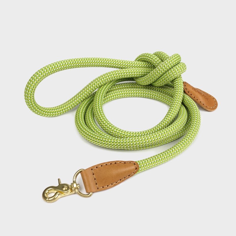 プレミアムなお散歩時間を WE ARE TIGHT (Leash) - Pacific & My Pooch