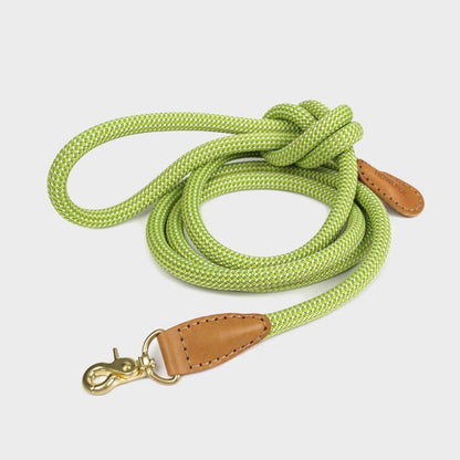 プレミアムなお散歩時間を WE ARE TIGHT (Leash) - Pacific & My Pooch