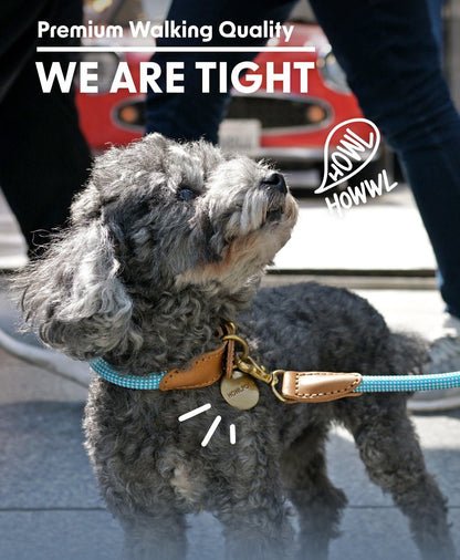 プレミアムなお散歩時間を WE ARE TIGHT (Leash) - Pacific & My Pooch