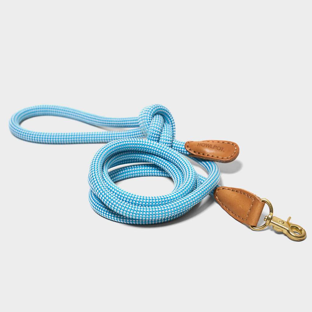 プレミアムなお散歩時間を WE ARE TIGHT (Leash) - Pacific & My Pooch