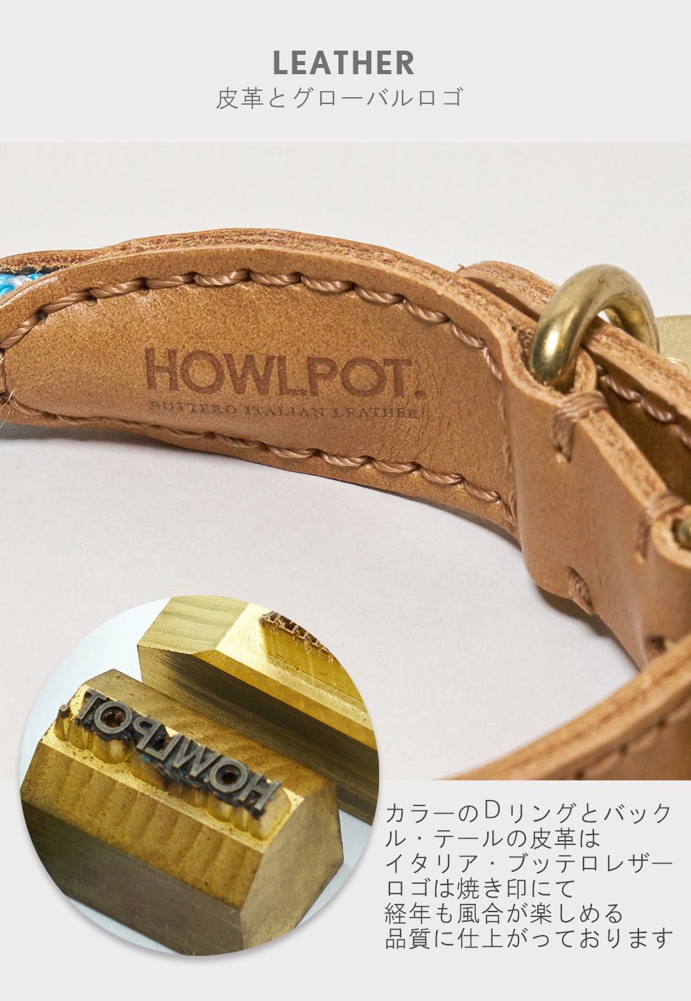 プレミアムなお散歩時間を WE ARE TIGHT (Leash) - Pacific & My Pooch