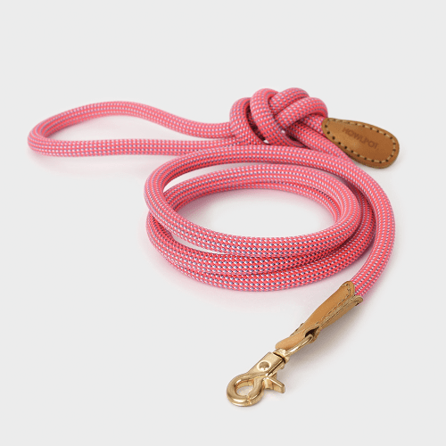 プレミアムなお散歩時間を WE ARE TIGHT (Leash) - Pacific & My Pooch