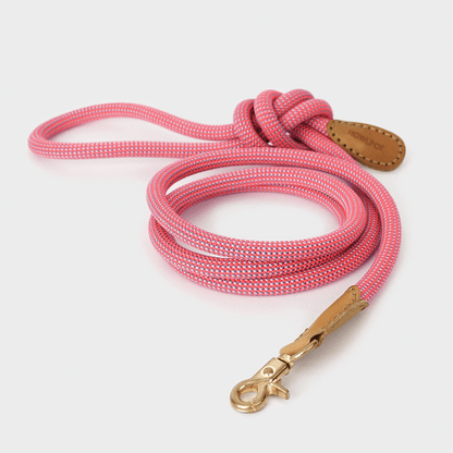 プレミアムなお散歩時間を WE ARE TIGHT (Leash) - Pacific & My Pooch