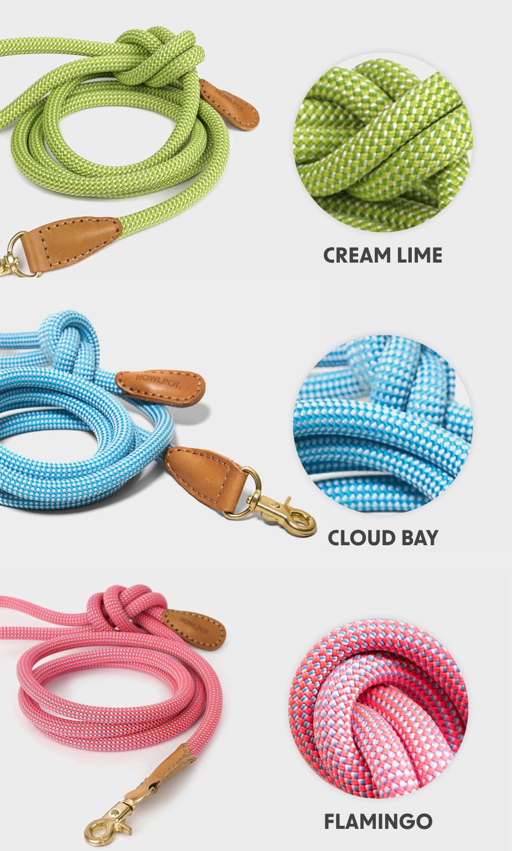 プレミアムなお散歩時間を WE ARE TIGHT (Leash) - Pacific & My Pooch