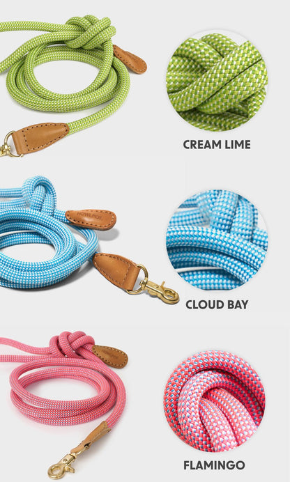 プレミアムなお散歩時間を WE ARE TIGHT (Leash) - Pacific & My Pooch